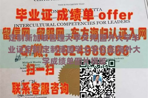 定制新加坡管理大学文凭|国外大学毕业证定制|定制德国学士学位证|海外大学成绩单图片模版